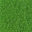 5 Grams of 11/0 Miyuki DELICA Beads - Matte Transparent Lime