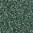 11/0 Miyuki SEED Bead - Dyed Silverlined Lichen