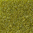 11/0 Miyuki SEED Bead - Transparent Golden Olive Luster