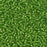 11/0 Miyuki SEED Bead - Silverlined Lime