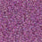 11/0 Miyuki SEED Bead - Raspberry Lined Crystal AB