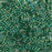 10/0 Miyuki DELICA Beads - Transparent Emerald AB