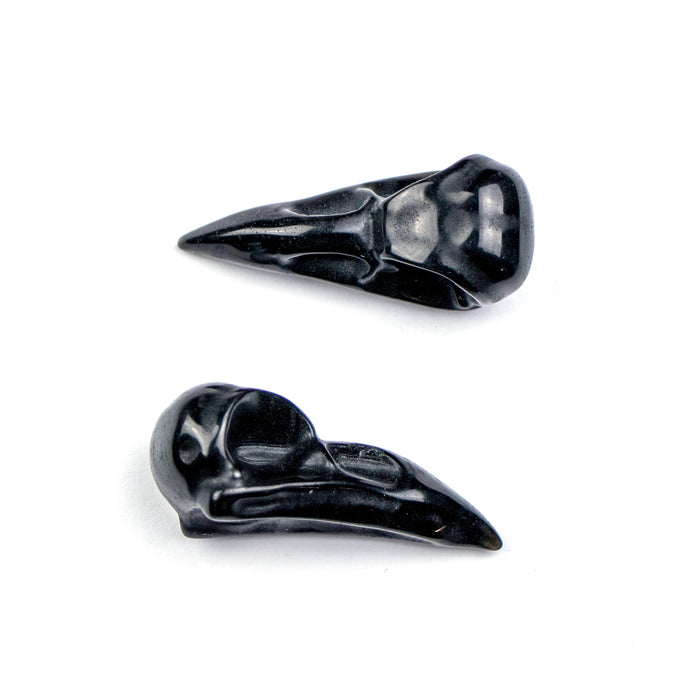 Bird Skull Specimen - Black Obsidian