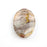 30mm x 40mm MEXICAN LAGUNA LACE AGATE Oval